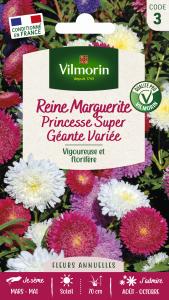 Reine-Marguerite Princesse Super Géante Variée